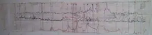 eric-dollard-seismic-data